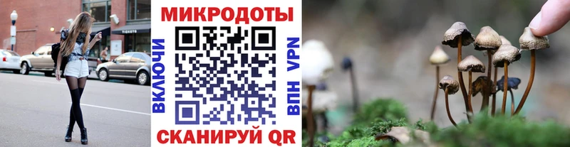 купить   Киреевск  Псилоцибиновые грибы Cubensis 