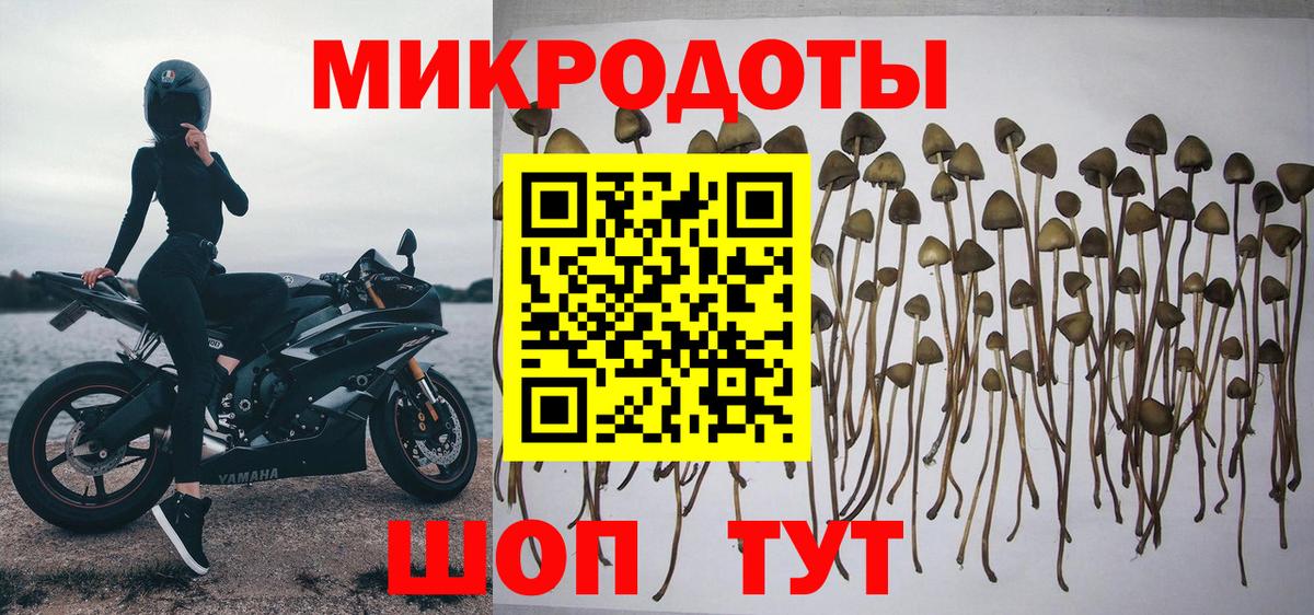 Псилоцибиновые грибы Psilocybe  Вход с VPN  Псилоцибиновые грибы Cubensis  Киреевск 