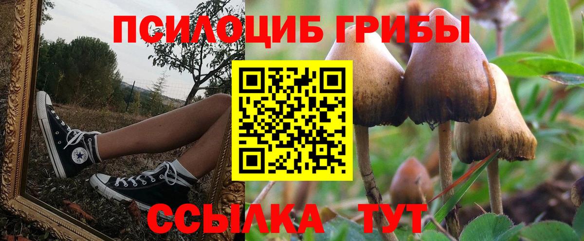Галлюциногенные грибы Psilocybine cubensis  Киреевск 