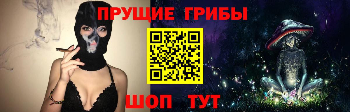 Псилоцибиновые грибы GOLDEN TEACHER Киреевск